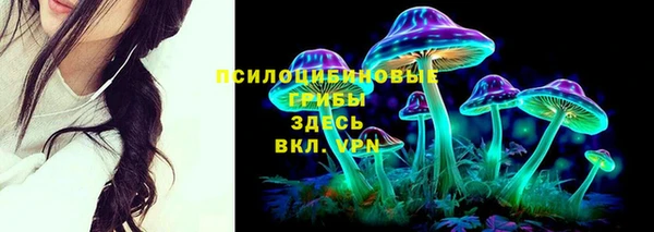 jwh Вязьма