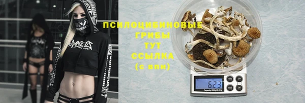 мяу мяу мука Волоколамск