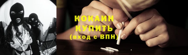сатива Володарск