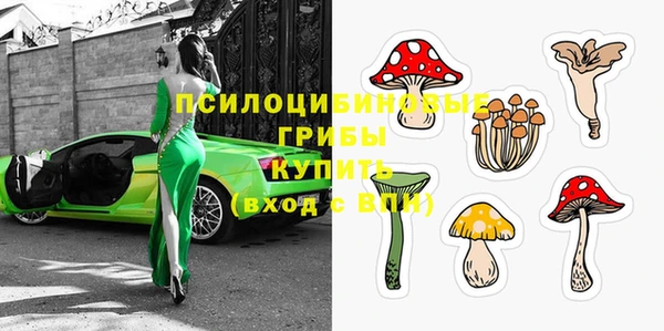 мяу мяу мука Волоколамск