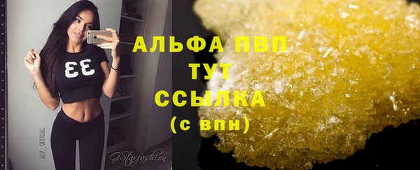 ГАЛЛЮЦИНОГЕННЫЕ ГРИБЫ Вязники