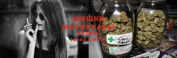 сатива Володарск